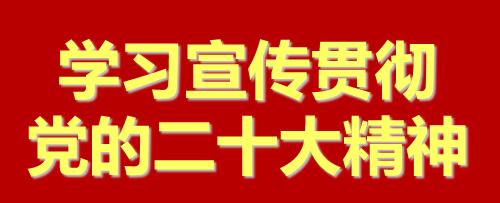 党的二十大精神学习首页侧面图片